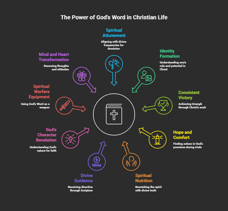 Benefits of God's Word in the Believer's Life