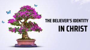 The Believer’s Identity in Christ 8 the believer's identity in Christ