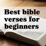 Best bible verses for beginners