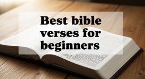 Best bible verses for beginners